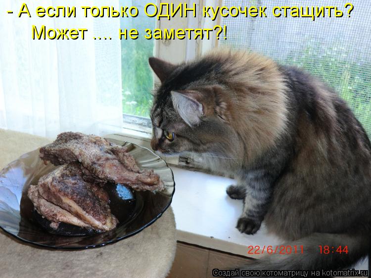 Котоматрица: - А если только ОДИН кусочек стащить? Может .... не заметят?!