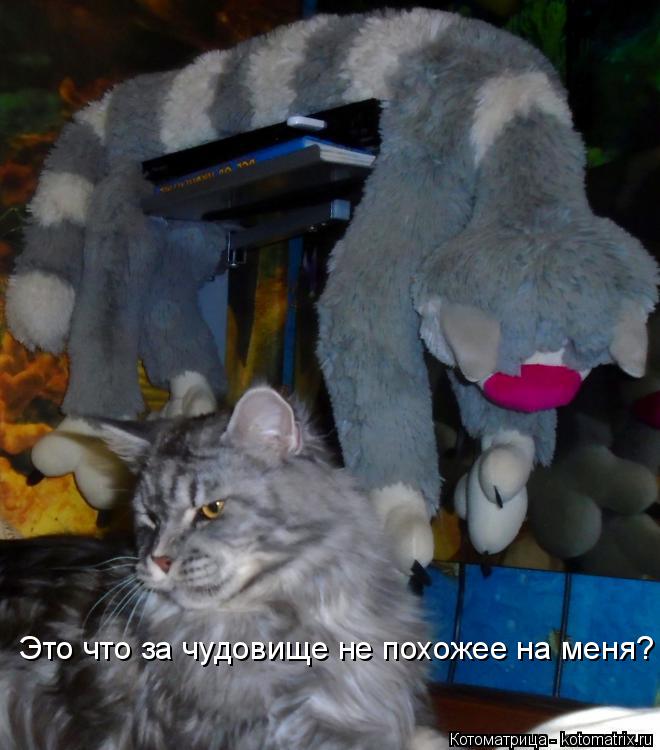 Котоматрица: Это что за чудовище не похожее на меня?
