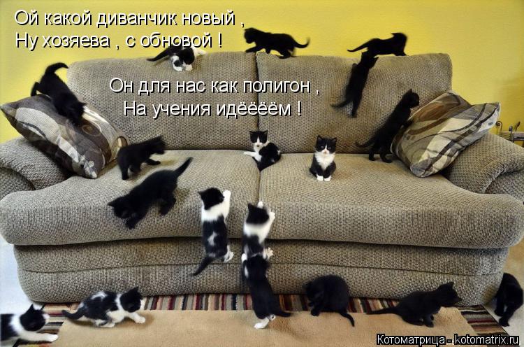 Котоматрица: Ой какой диванчик новый , Ну хозяева , с обновой ! Он для нас как полигон , На учения идёёёём !
