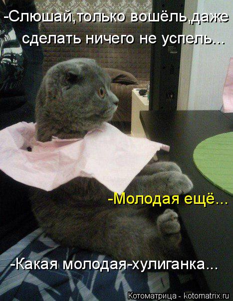 Котоматрица: -Слюшай,только вошёль,даже сделать ничего не успель... -Молодая ещё... -Какая молодая-хулиганка...