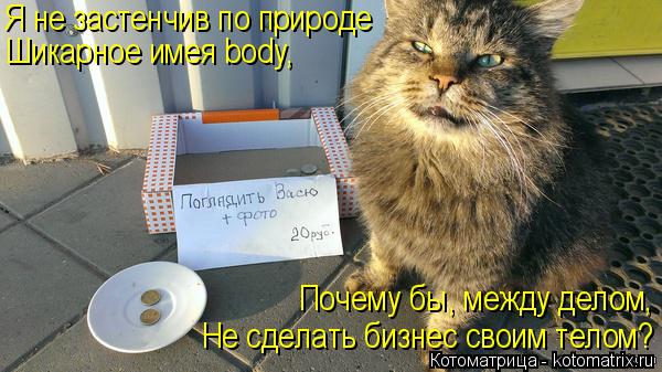 Котоматрица: Я не застенчив по природе Шикарное имея body, Не сделать бизнес своим телом? Почему бы, между делом,