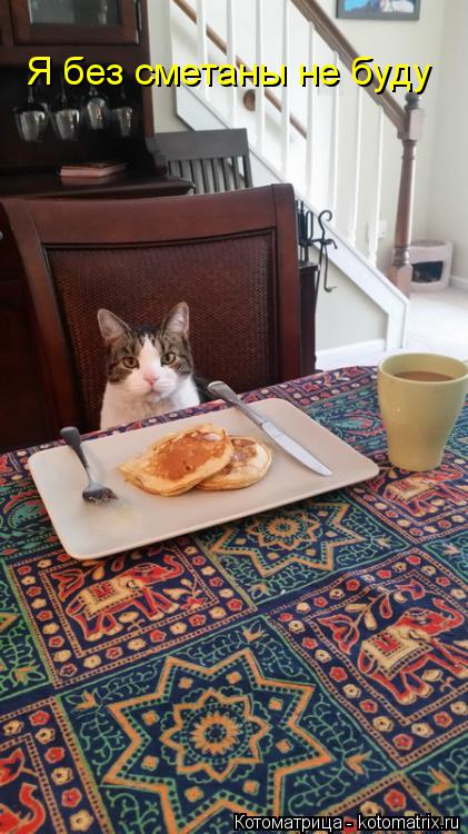 Котоматрица: Я без сметаны не буду