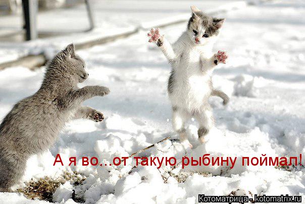 А я во...от такую рыбину поймал!... Котоматрица: А я во...от такую рыбину поймал!