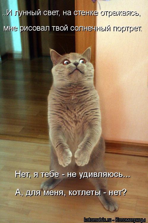 Котоматрица: мне рисовал твой солнечный портрет. Нет, я тебе - не удивляюсь... А, для меня, котлеты - нет? ..И лунный свет, на стенке отражаясь,