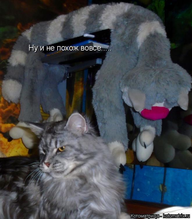Котоматрица: Ну и не похож вовсе.....