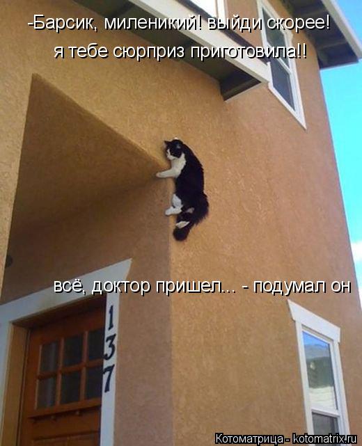 Котоматрица: -Барсик, миленикий! выйди скорее! всё, доктор пришел... - подумал он я тебе сюрприз приготовила!!