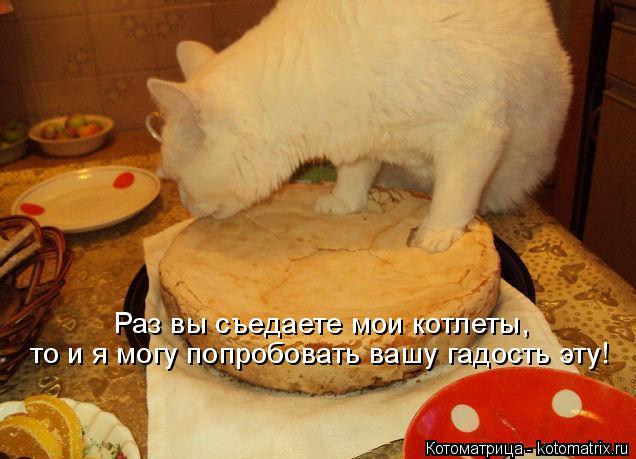 Котоматрица: Раз вы съедаете мои котлеты,  то и я могу попробовать вашу гадость эту!