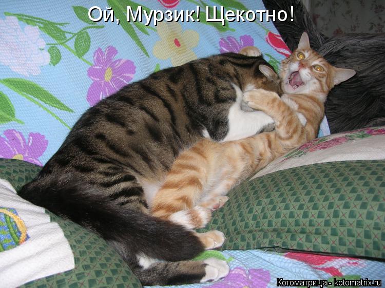 Котоматрица: Ой, Мурзик! Щекотно!