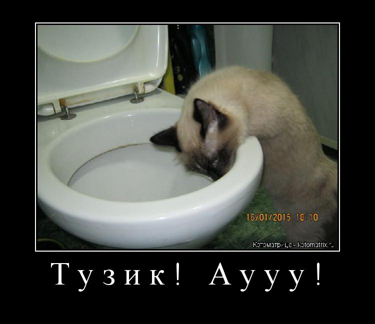 Котоматрица: Тузик! Аууу! 