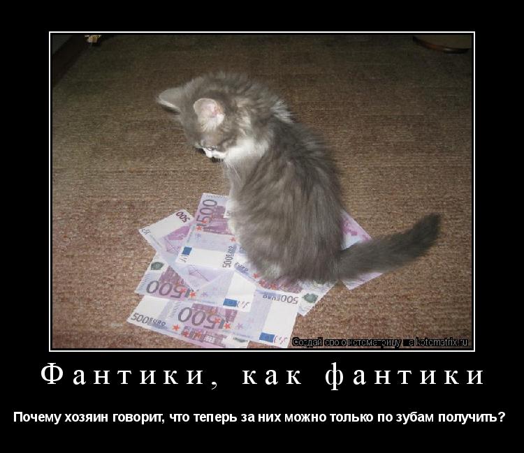 Котоматрица: Фантики, как фантики  Почему хозяин говорит, что теперь за них можно только по зубам получить? 