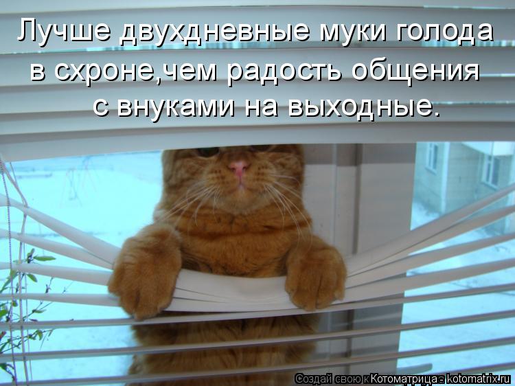 Котоматрица: Лучше двухдневные муки голода в схроне,чем радость общения  с внуками на выходные.