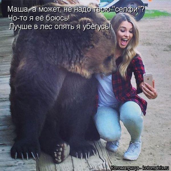 Котоматрица: Маша, а может, не надо твою "селфи"? Чо-то я её боюсь! Лучше в лес опять я убегусь!