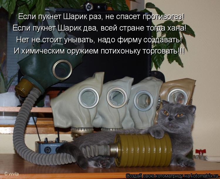 Котоматрица: Если пукнет Шарик раз, не спасет противогаз! Если пукнет Шарик два, всей стране тогда хана! Нет не стоит унывать, надо фирму создавать! И хими