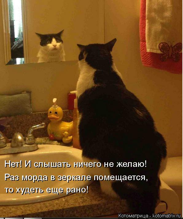 Котоматрица: Нет! И слышать ничего не желаю! Раз морда в зеркале помещается, то худеть еще рано!