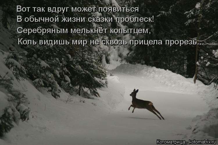 Вот так вдруг может появиться В обычной жизни сказки проблеск! Серебряным мелькнёт копытцем, Коль вид... Котоматрица: Вот так вдруг может появиться В обычной жизни сказки проблеск! Серебряным мелькнёт копытцем, Коль видишь мир не сквозь прицела прорезь...