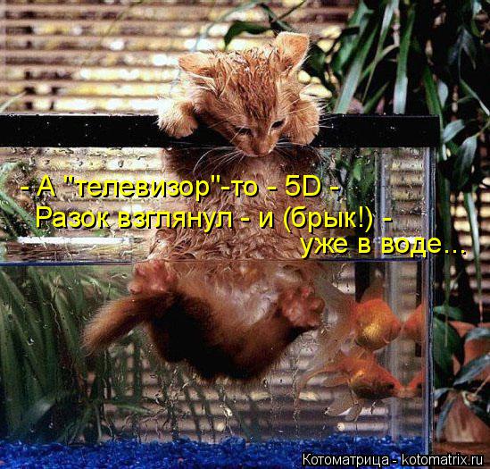 Котоматрица: - А "телевизор"-то - 5D -  Разок взглянул - и (брык!) -  уже в воде...