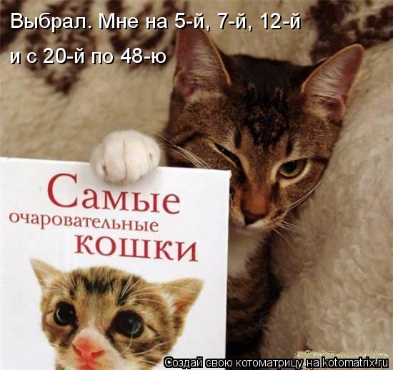 Выбрал. Мне на 5-й, 7-й, 12-й и с 20-й по 48-ю... Котоматрица: Выбрал. Мне на 5-й, 7-й, 12-й и с 20-й по 48-ю