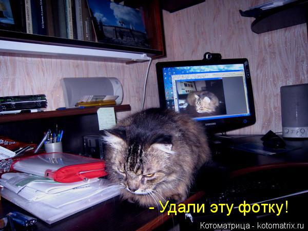 Котоматрица: - Удали эту фотку!