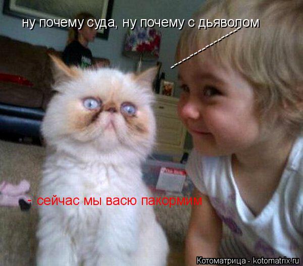 ну почему суда, ну почему с дьяволом ------------------ сейчас мы васю пакормим -... Котоматрица: ну почему суда, ну почему с дьяволом ------------------ сейчас мы васю пакормим -