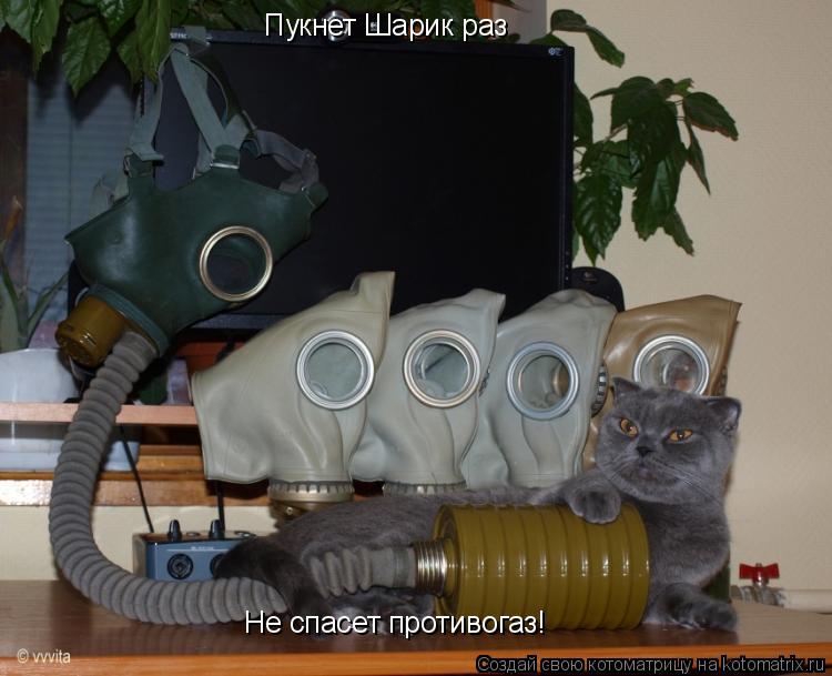 Котоматрица: Пукнет Шарик раз Не спасет противогаз!