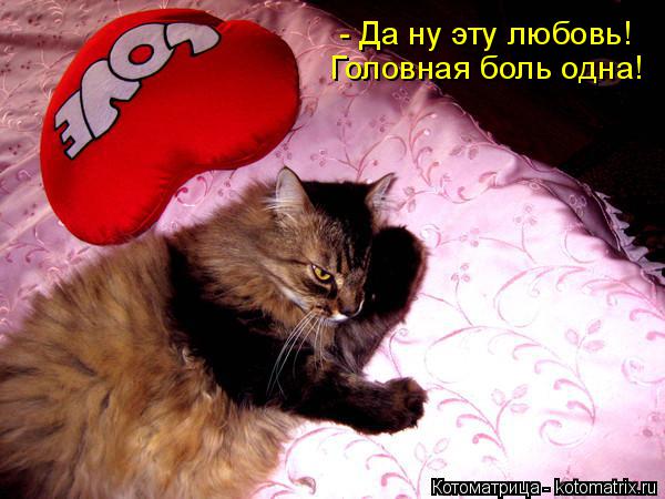 Котоматрица: - Да ну эту любовь! Головная боль одна!