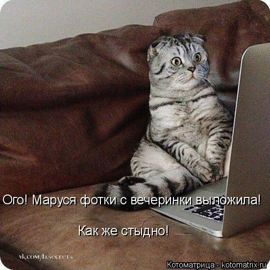 Котоматрица: Ого! Маруся фотки с вечеринки выложила! Как же стыдно!