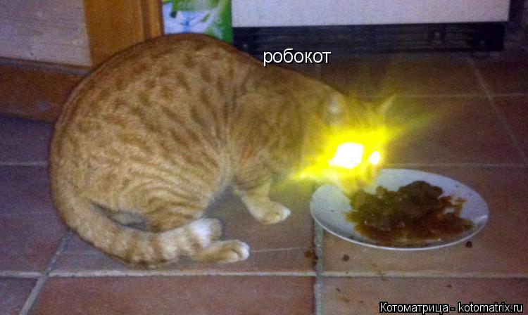 Котоматрица: робокот