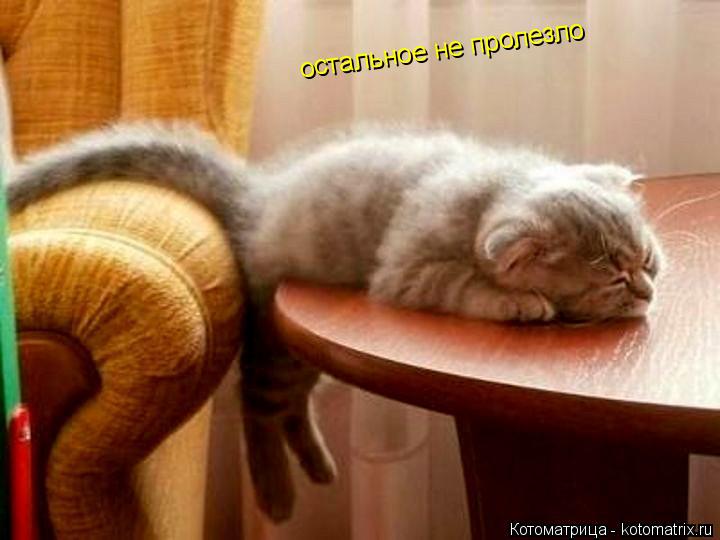 Котоматрица: остальное не пролезло