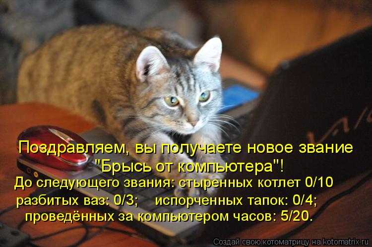 Котоматрица: Поздравляем, вы получаете новое звание "Брысь от компьютера"! До следующего звания: стыренных котлет 0/10 разбитых ваз: 0/3;    испорченных тапок