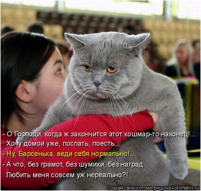 Котоматрица: Хочу домой уже, поспать, поесть... - О Господи, когда ж закончится этот кошмар-то наконец!... - Ну, Барсенька, веди себя нормально!.. - А что, без гр