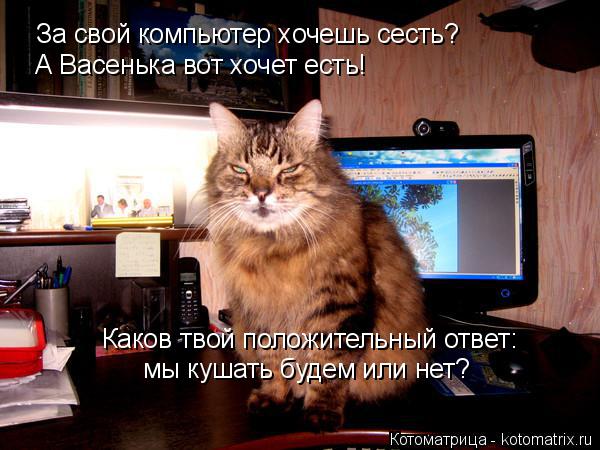 Котоматрица: За свой компьютер хочешь сесть? А Васенька вот хочет есть! мы кушать будем или нет? Каков твой положительный ответ: