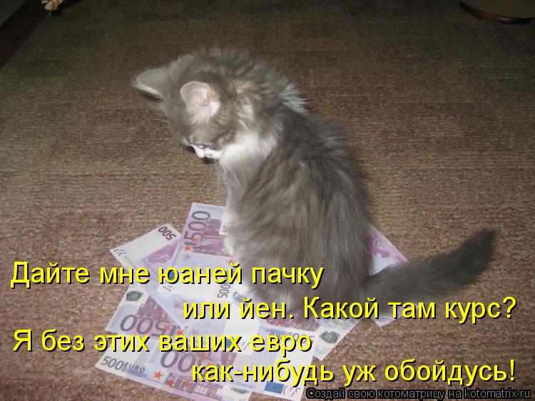 Котоматрица: Дайте мне юаней пачку или йен. Какой там курс? Я без этих ваших евро как-нибудь уж обойдусь!