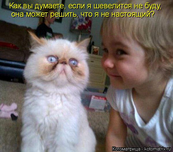 Котоматрица: Как вы думаете, если я шевелится не буду, она может решить, что я не настоящий?