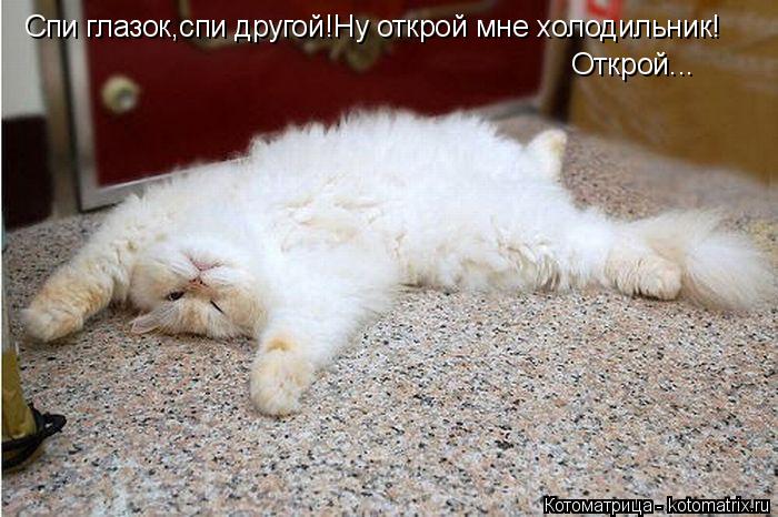 Котоматрица: Спи глазок,спи другой!Ну открой мне холодильник! Открой...