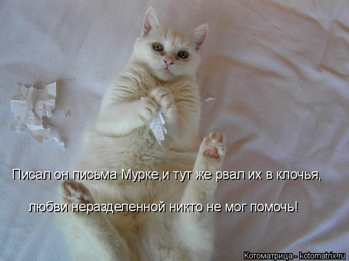 Котоматрица: Писал он письма Мурке,и тут же рвал их в клочья, любви неразделенной никто не мог помочь!