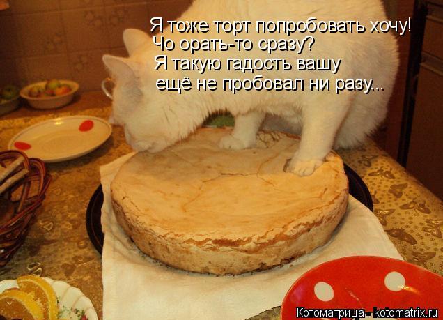 Котоматрица: Я тоже торт попробовать хочу! Чо орать-то сразу? Я такую гадость вашу ещё не пробовал ни разу...