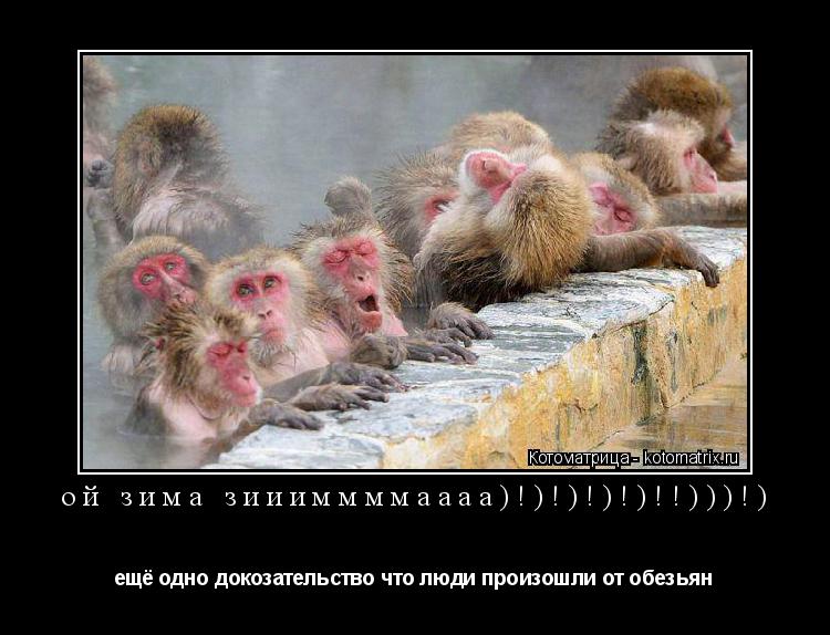 ой зима зиииммммаааа)!)!)!)!)!!)))!) ещё одно докозательство что люди произошли от обезьян... Котоматрица: ой зима зиииммммаааа)!)!)!)!)!!)))!) ещё одно докозательство что люди произошли от обезьян