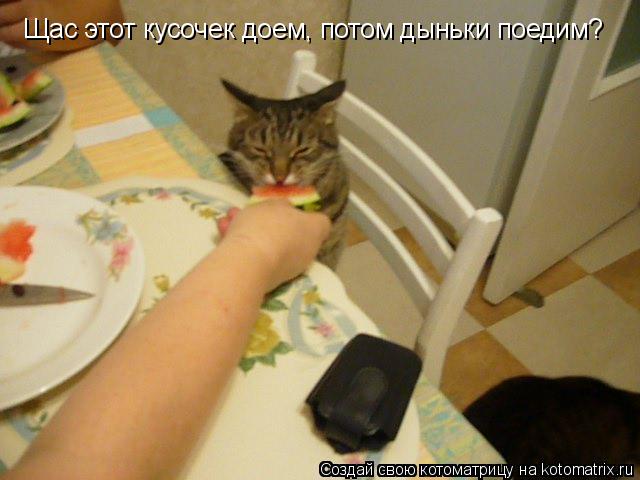 Щас этот кусочек доем, потом дыньки поедим?... Котоматрица: Щас этот кусочек доем, потом дыньки поедим?