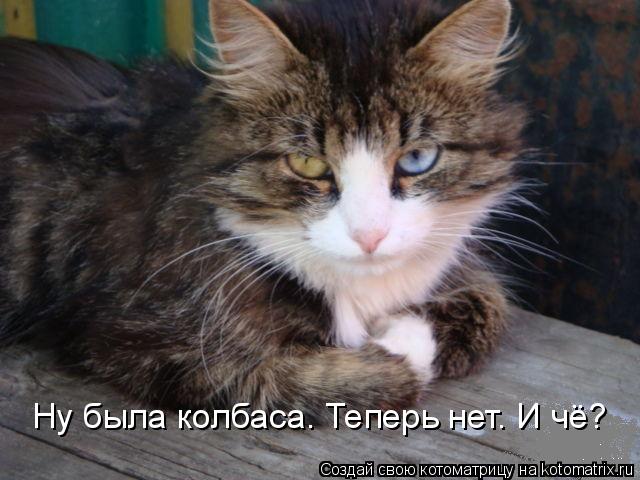 Ну была колбаса. Теперь нет. И чё?... Котоматрица: Ну была колбаса. Теперь нет. И чё?