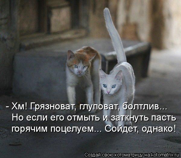 - Хм! Грязноват, глуповат, болтлив... Но если его отмыть и заткнуть пасть горячим поцелуем... Сойдет,... Котоматрица: - Хм! Грязноват, глуповат, болтлив... Но если его отмыть и заткнуть пасть горячим поцелуем... Сойдет, однако!