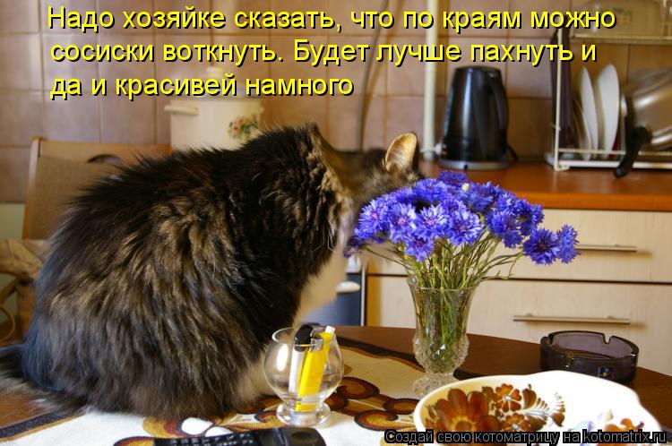 Надо хозяйке сказать, что по краям можно сосиски воткнуть. Будет лучше пахнуть и да и красивей намн... Котоматрица: Надо хозяйке сказать, что по краям можно сосиски воткнуть. Будет лучше пахнуть и да и красивей намного