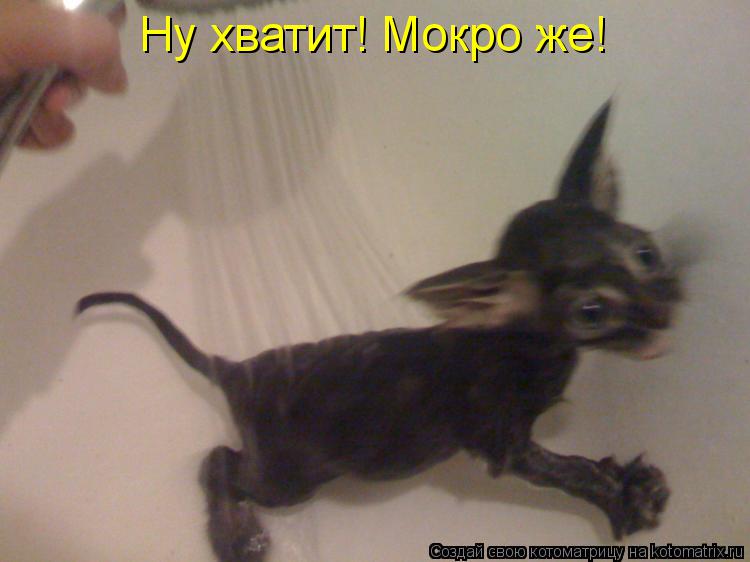 Ну хватит! Мокро же!... Котоматрица: Ну хватит! Мокро же!