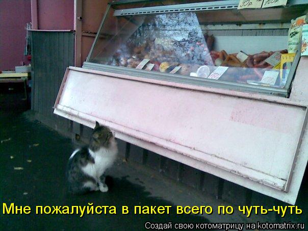 Котоматрица: Мне пожалуйста в пакет всего по чуть-чуть