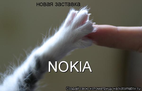 Котоматрица: новая заставка новая заставка новая заставка NOKlA