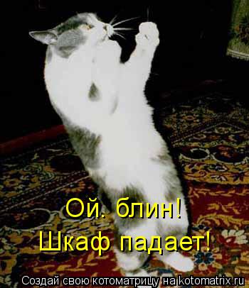 Ой. блин! Шкаф падает!... Котоматрица: Ой. блин! Шкаф падает!