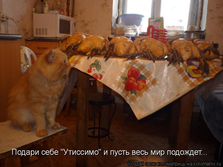 Подари себе "Утиссимо" и пусть весь мир подождет...... Котоматрица: Подари себе "Утиссимо" и пусть весь мир подождет...