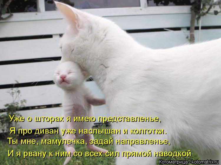Уже о шторах я имею представленье, Я про диван уже наслышан и колготки. Ты мне, мамулечка, задай напр... Котоматрица: Уже о шторах я имею представленье, Я про диван уже наслышан и колготки. Ты мне, мамулечка, задай направленье, И я рвану к ним со всех сил прямо