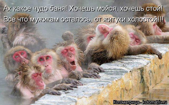 Ах какое чудо баня! Хочешь мойся, хочешь стой! Все что мужикам осталось, от житухи холостой!!!... Котоматрица: Ах какое чудо баня! Хочешь мойся, хочешь стой! Все что мужикам осталось, от житухи холостой!!!