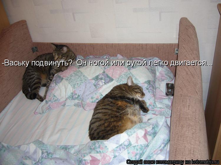 -Ваську подвинуть? Он ногой или рукой легко двигается...... Котоматрица: -Ваську подвинуть? Он ногой или рукой легко двигается...