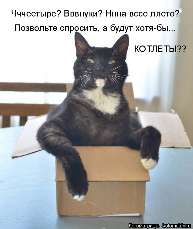 Чччеетыре? Вввнуки? Ннна вссе ллето? Позвольте спросить, а будут хотя-бы... КОТЛЕТЫ??... Котоматрица: Чччеетыре? Вввнуки? Ннна вссе ллето? Позвольте спросить, а будут хотя-бы... КОТЛЕТЫ??